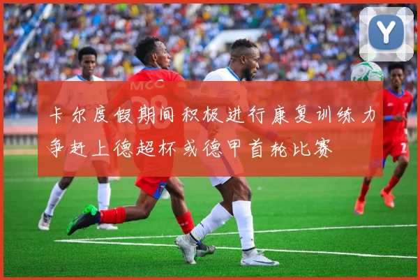卡尔度假期间积极进行康复训练力争赶上德超杯或德甲首轮比赛